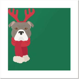 Christmas Staffordshire Bull Terrier Dog Face Posters and Art